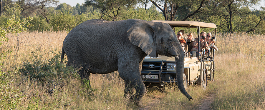 Viagem de férias com a família — África do Sul