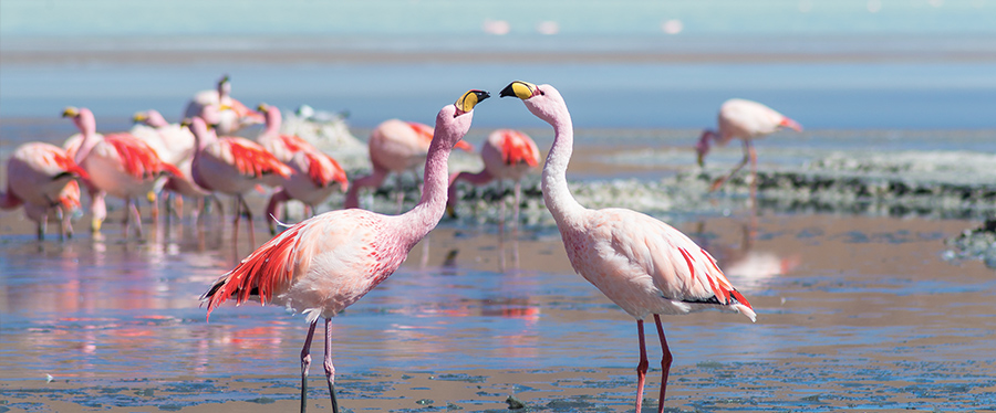 Viagem de férias com a família — Atacama