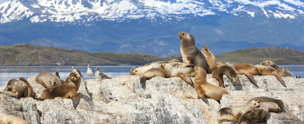 Ushuaia — Canal de Beagle