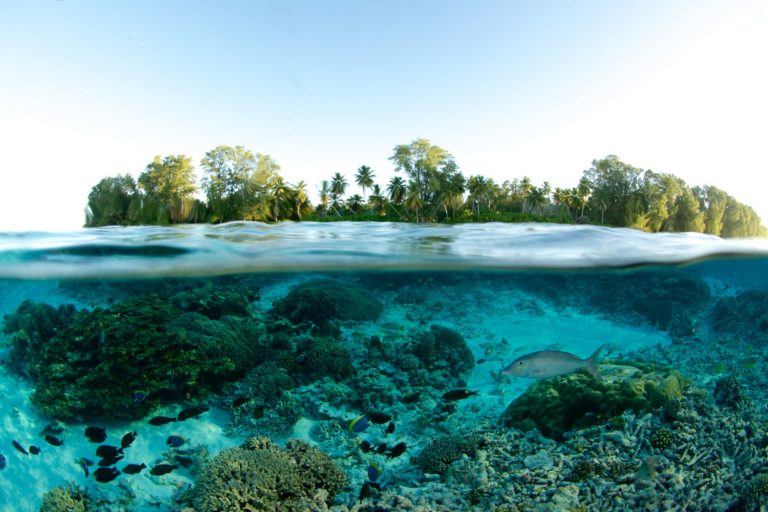Turismo Ecológico e Sustentável — Como Você Pode Viajar Fora da Caixa! - paisagem metade embaixo d'água e metade da ilha para cima