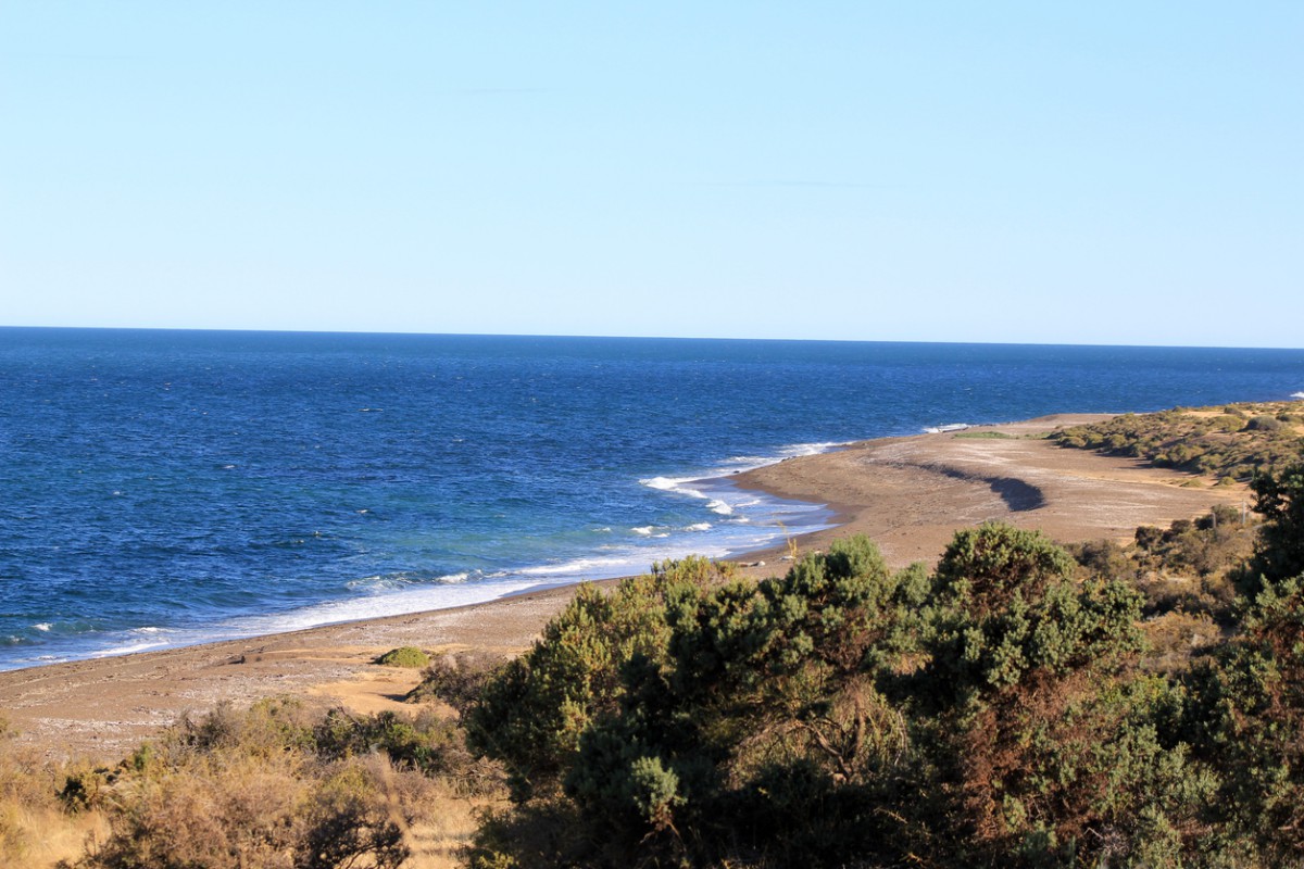 vista da praia de Valdez, na Patagônia Argentina - Viagem Para Criança — Muito Além do Destino — Viagem Internacional com Criança