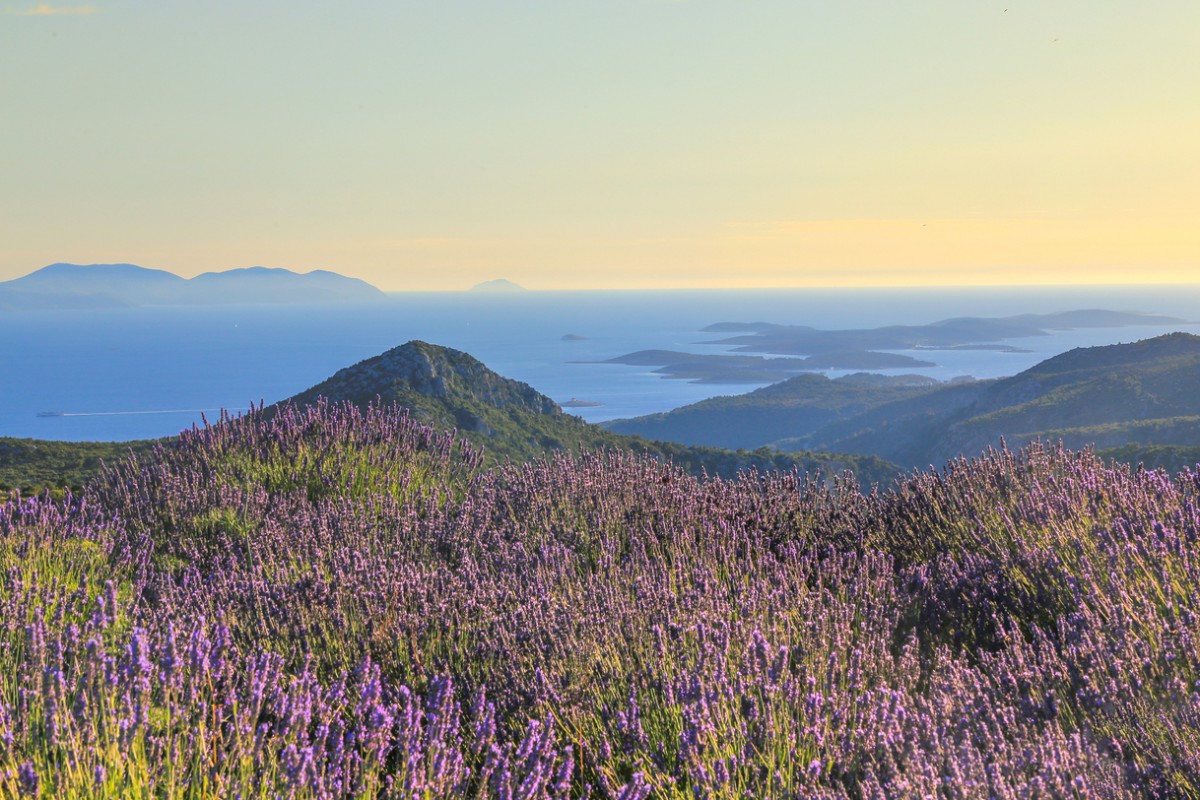 lugares mais lindos do mundo: Hvar