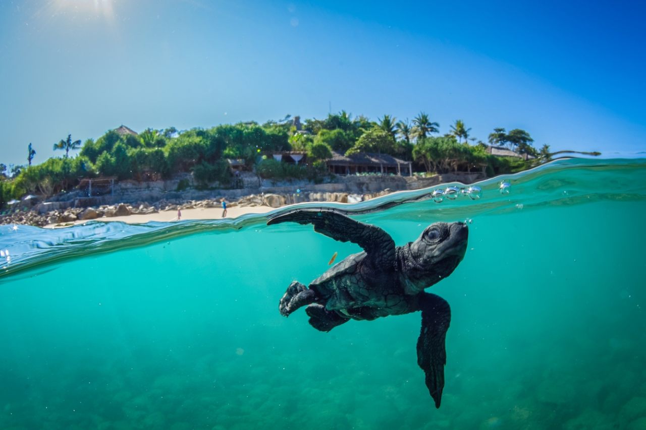 Conheça duas ilhas da Indonésia onde a sustentabilidade é apaixonante!