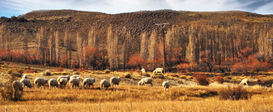 Roteiros de Viagens — Diferentes Estilos de Viagem Para a Patagônia