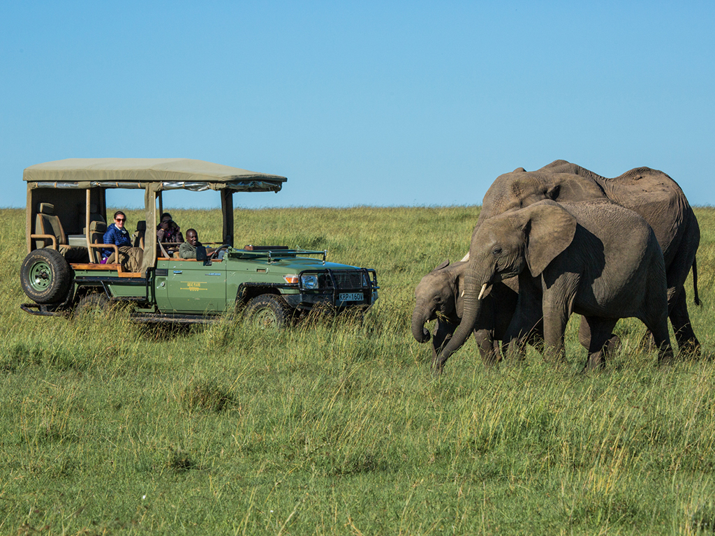 Acampamento savanas africanas. Great Plains Quenia Mara Plains.
