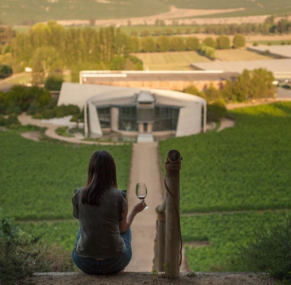 Jovem em vinícola Errazurirz bebe vinho da uva Carmenere, no Chile.